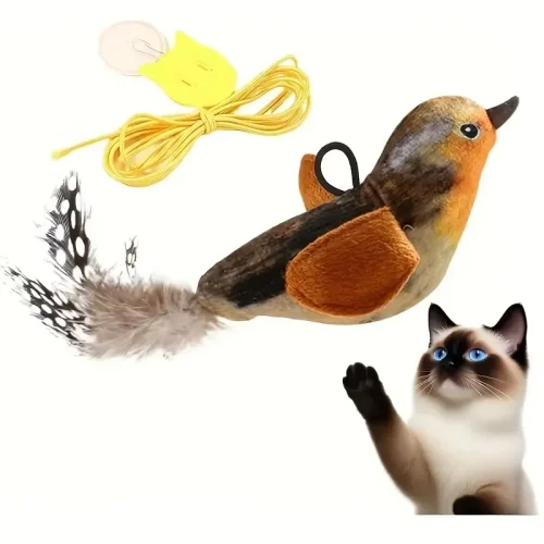 Interactive Kitten Chasing Teaser