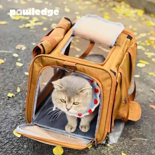 Foldable Pet Carrier Bag